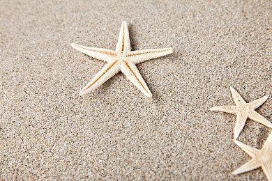 Capcom两场发布会来了 锁定2月5日、将有《鬼武者》《怪物猎人：荒野》